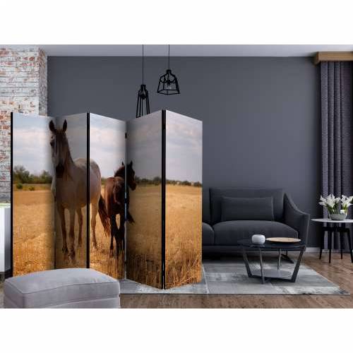 Paravan u 5 dijelova - Horse and foal II [Room Dividers] 225x172 Cijena