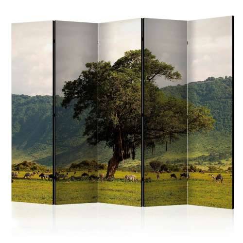 Paravan u 5 dijelova - In a crater of Ngoro ngoro II [Room Dividers] 225x172 Cijena