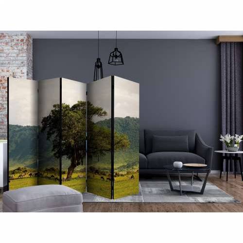 Paravan u 5 dijelova - In a crater of Ngoro ngoro II [Room Dividers] 225x172 Cijena