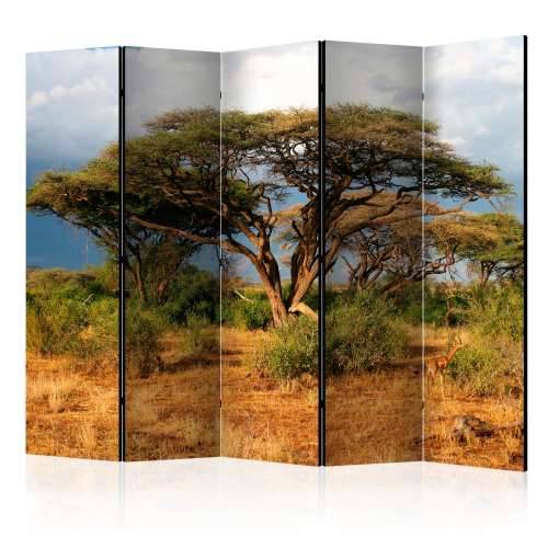 Paravan u 5 dijelova - Samburu National Reserve, Kenya II [Room Dividers] 225x172 Cijena