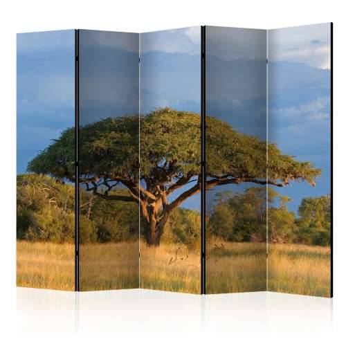 Paravan u 5 dijelova - African acacia tree, Hwange National Park, Zimbabwe II [Room Dividers] 225x172 Cijena