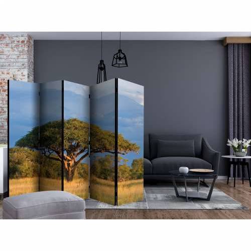 Paravan u 5 dijelova - African acacia tree, Hwange National Park, Zimbabwe II [Room Dividers] 225x172 Cijena