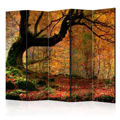 Paravan u 5 dijelova - Autumn, forest and leaves II [Room Dividers] 225x172 Cijena