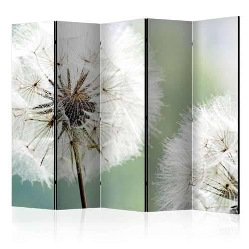 Paravan u 5 dijelova - Two dandelions II [Room Dividers] 225x172 Cijena