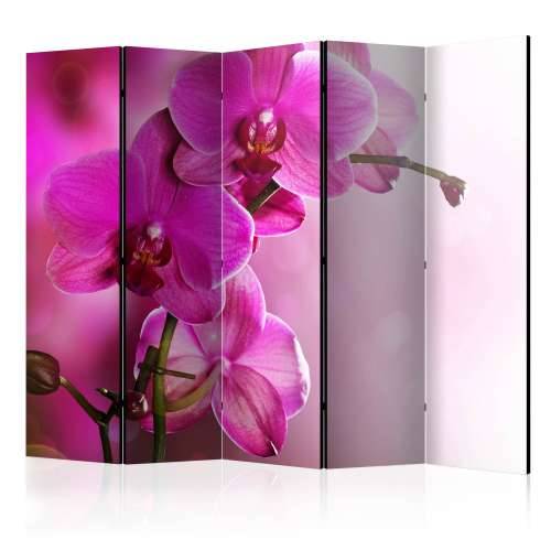 Paravan u 5 dijelova - Pink orchid II [Room Dividers] 225x172 Cijena