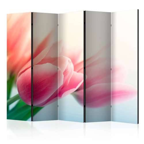 Paravan u 5 dijelova - Spring and tulips II [Room Dividers] 225x172 Cijena