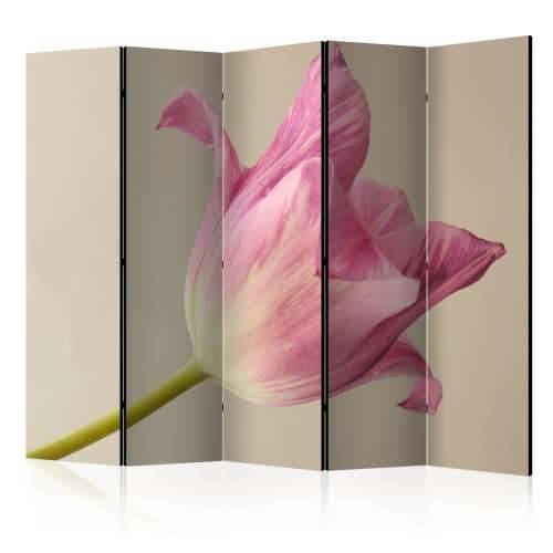 Paravan u 5 dijelova - Pink tulip II [Room Dividers] 225x172 Cijena