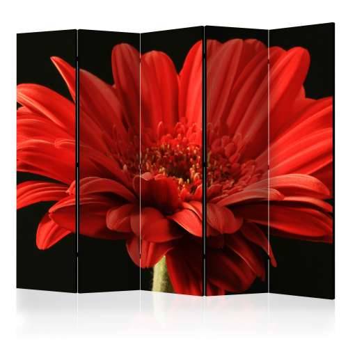Paravan u 5 dijelova - Red gerbera flower II [Room Dividers] 225x172 Cijena