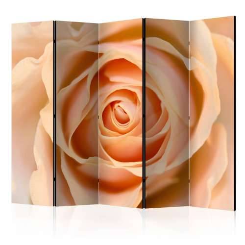 Paravan u 5 dijelova - Peach-colored rose II [Room Dividers] 225x172 Cijena