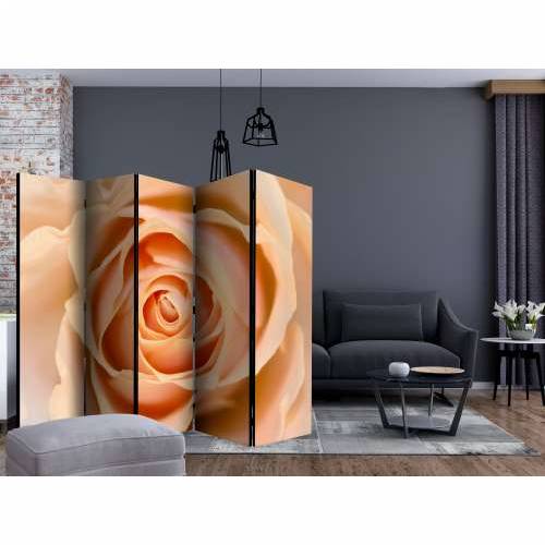 Paravan u 5 dijelova - Peach-colored rose II [Room Dividers] 225x172 Cijena
