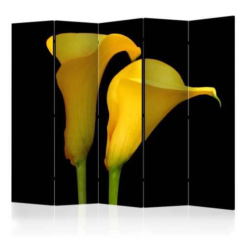 Paravan u 5 dijelova - Two yellow calla flowers on a black background II [Room Dividers] 225x172 Cijena