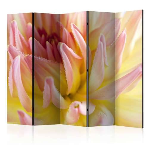 Paravan u 5 dijelova - Pastel colored dahlia flower with dew drops II [Room Dividers] 225x172 Cijena