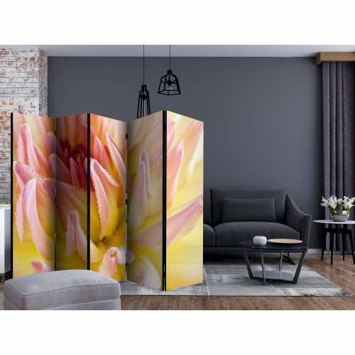 Paravan u 5 dijelova - Pastel colored dahlia flower with dew drops II [Room Dividers] 225x172 Cijena