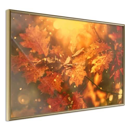 Poster - Golden Autumn 60x40