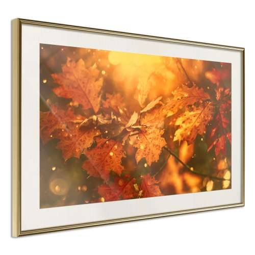 Poster - Golden Autumn 90x60 Cijena