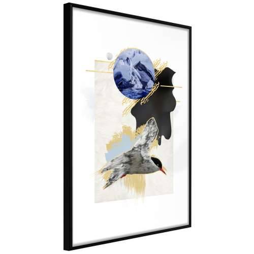 Poster - Abstraction with a Tern 40x60 Cijena
