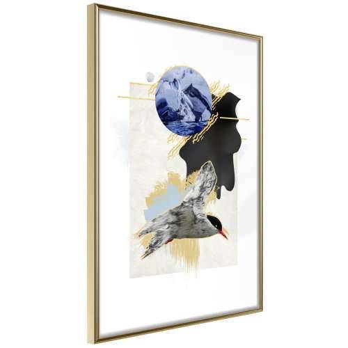 Poster - Abstraction with a Tern 20x30 Cijena