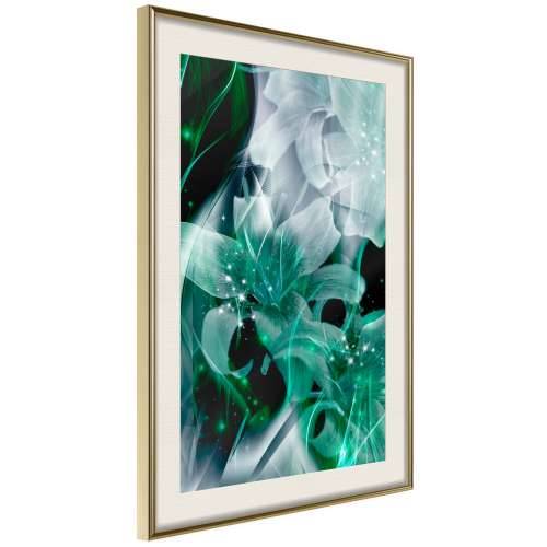Poster - Poisonous Flowers 20x30