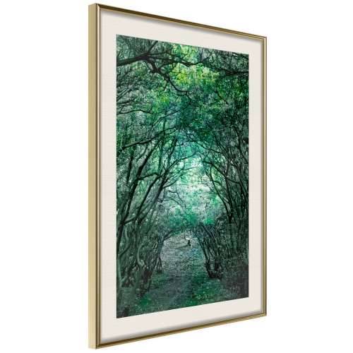 Poster - Tree Tunnel 40x60