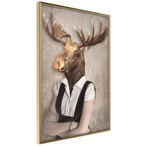 Poster - Animal Alter Ego: Moose 30x45