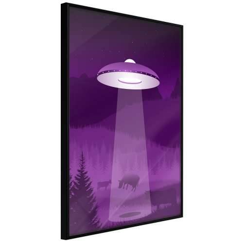 Poster - Flying Saucer 20x30