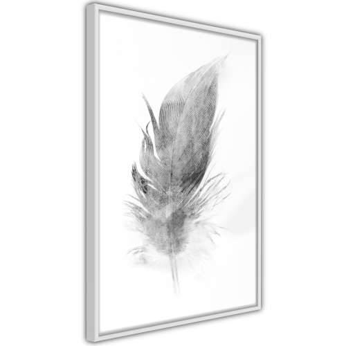 Poster - Lost Feather (Grey) 40x60 Cijena