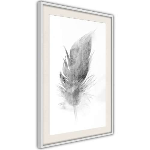 Poster - Lost Feather (Grey) 40x60 Cijena
