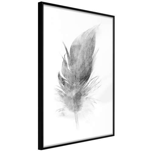 Poster - Lost Feather (Grey) 30x45 Cijena