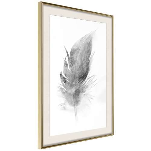 Poster - Lost Feather (Grey) 30x45 Cijena