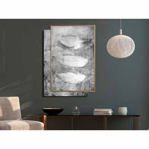 Poster - Delicate Feathers 40x60 Cijena