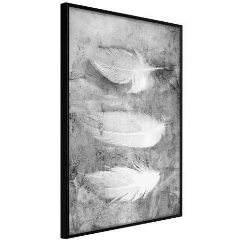 Poster - Delicate Feathers 30x45 Cijena