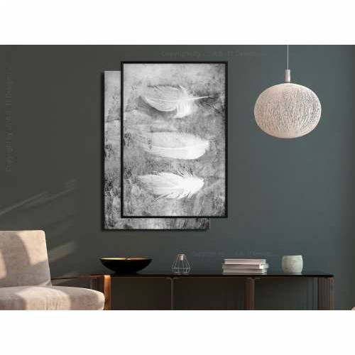 Poster - Delicate Feathers 20x30 Cijena
