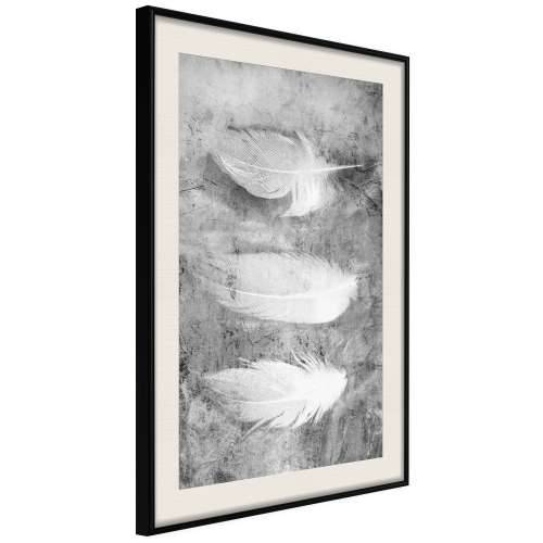 Poster - Delicate Feathers 20x30