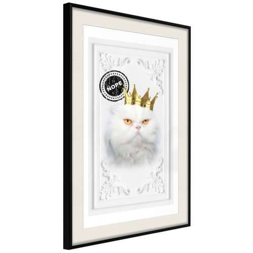 Poster - Cat Rules II 40x60