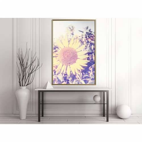 Poster - Facing the Sun 40x60 Cijena