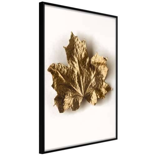 Poster - Dried Maple Leaf 40x60
