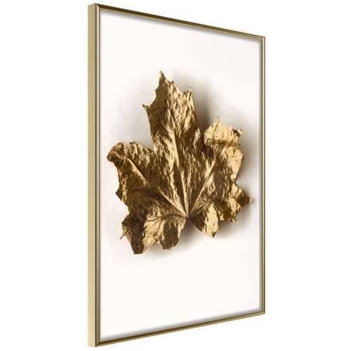 Poster - Dried Maple Leaf 30x45