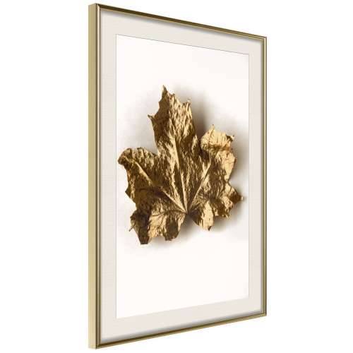 Poster - Dried Maple Leaf 30x45