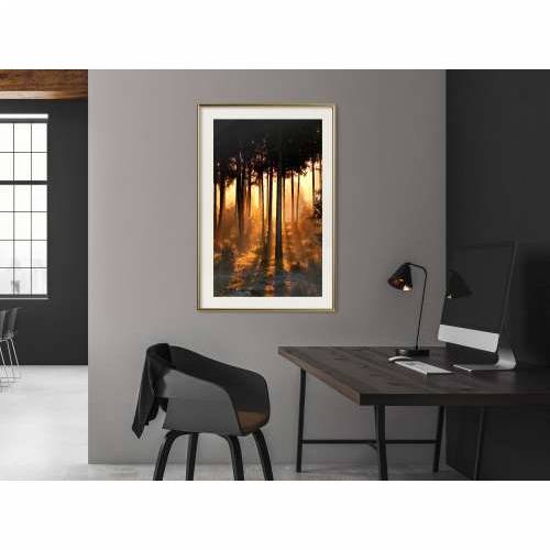 Poster - Dark Tree Tops 40x60 Cijena