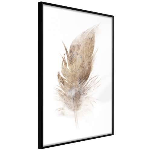 Poster - Lost Feather (Beige) 40x60 Cijena