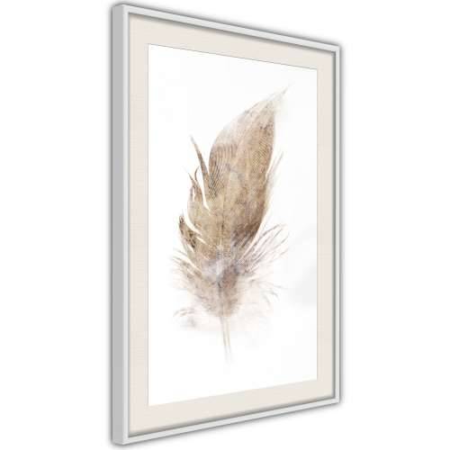 Poster - Lost Feather (Beige) 30x45 Cijena