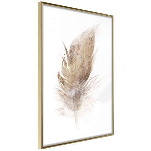 Poster - Lost Feather (Beige) 30x45 Cijena