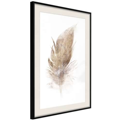 Poster - Lost Feather (Beige) 20x30 Cijena