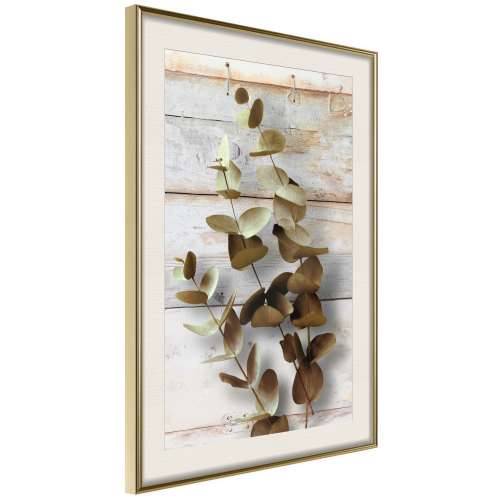 Poster - Decorative Twigs 40x60