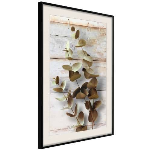 Poster - Decorative Twigs 20x30