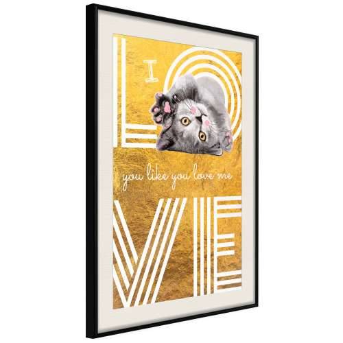 Poster - Cat Love 40x60 Cijena