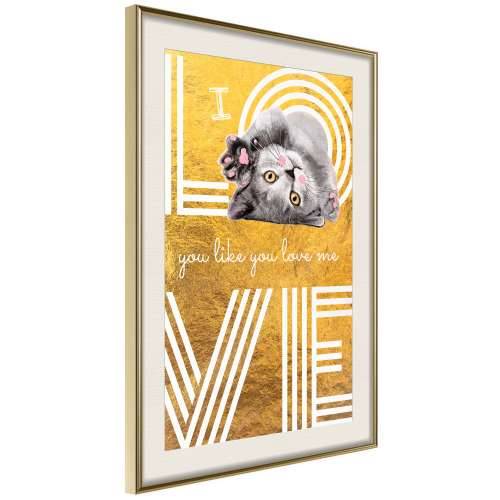 Poster - Cat Love 40x60