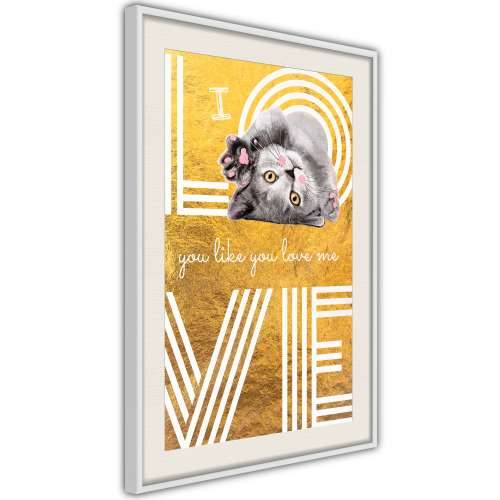Poster - Cat Love 30x45