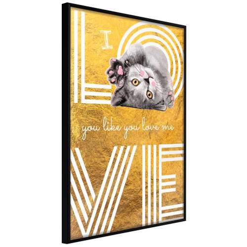 Poster - Cat Love 20x30