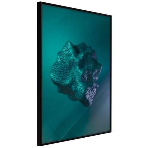 Poster - Sea Fossil 20x30